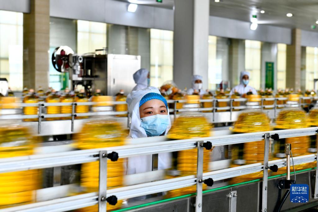 老虎机网址推荐大全